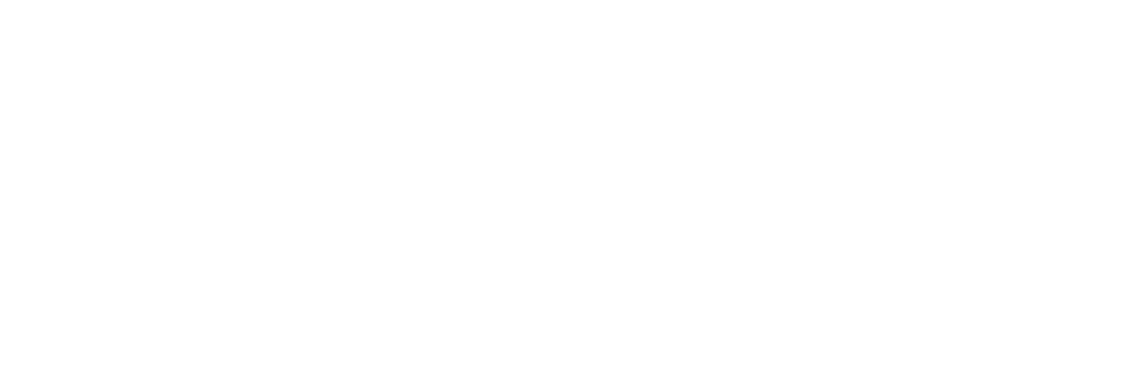 Global Flyingzone