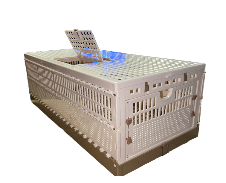 Caja plegable grande